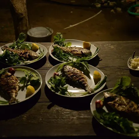 Gasthuis Hane-i Keyif Çıralı