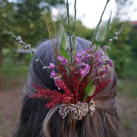 Hane-i Keyif Gasthuis 3*