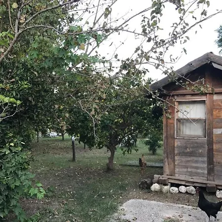 ゲストハウス Hane-i Keyif 3*