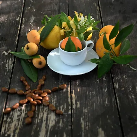 Hane-i Keyif ゲストハウス 3*