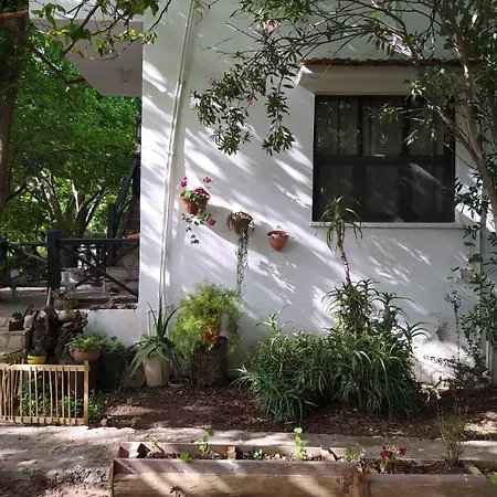 ゲストハウス Hane-i Keyif 3*