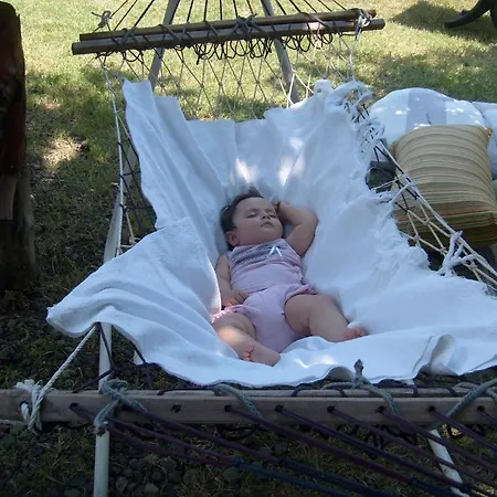 ゲストハウス Hane-i Keyif