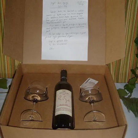 Gæstehus Hane-i Keyif