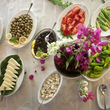 Hane-i Keyif Pensiune Çıralı