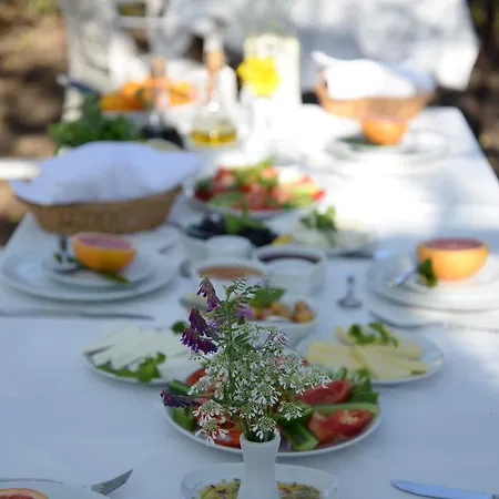 ゲストハウス Hane-i Keyif Çıralı