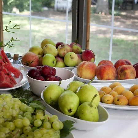 ゲストハウス Hane-i Keyif