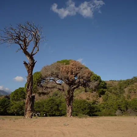 Pensiune Hane-i Keyif 3*