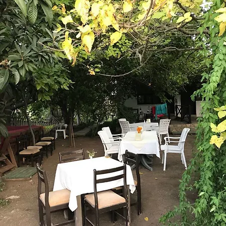 Hane-i Keyif Pensiune Çıralı