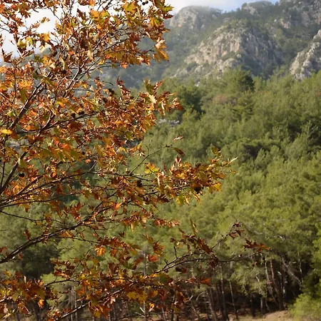 ゲストハウス Hane-i Keyif