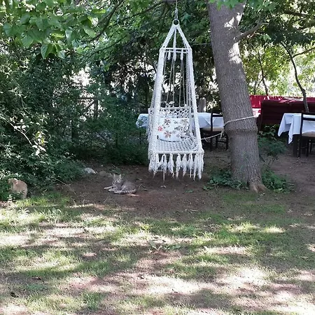 ゲストハウス Hane-i Keyif 3*